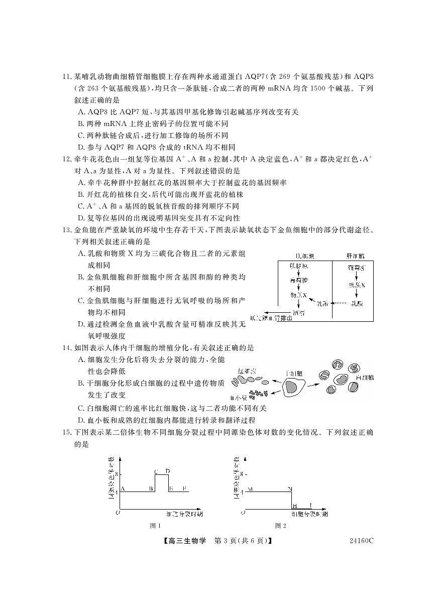 2024届福建省福州市高三上(11月期中)-生物试题（含答案）第3页