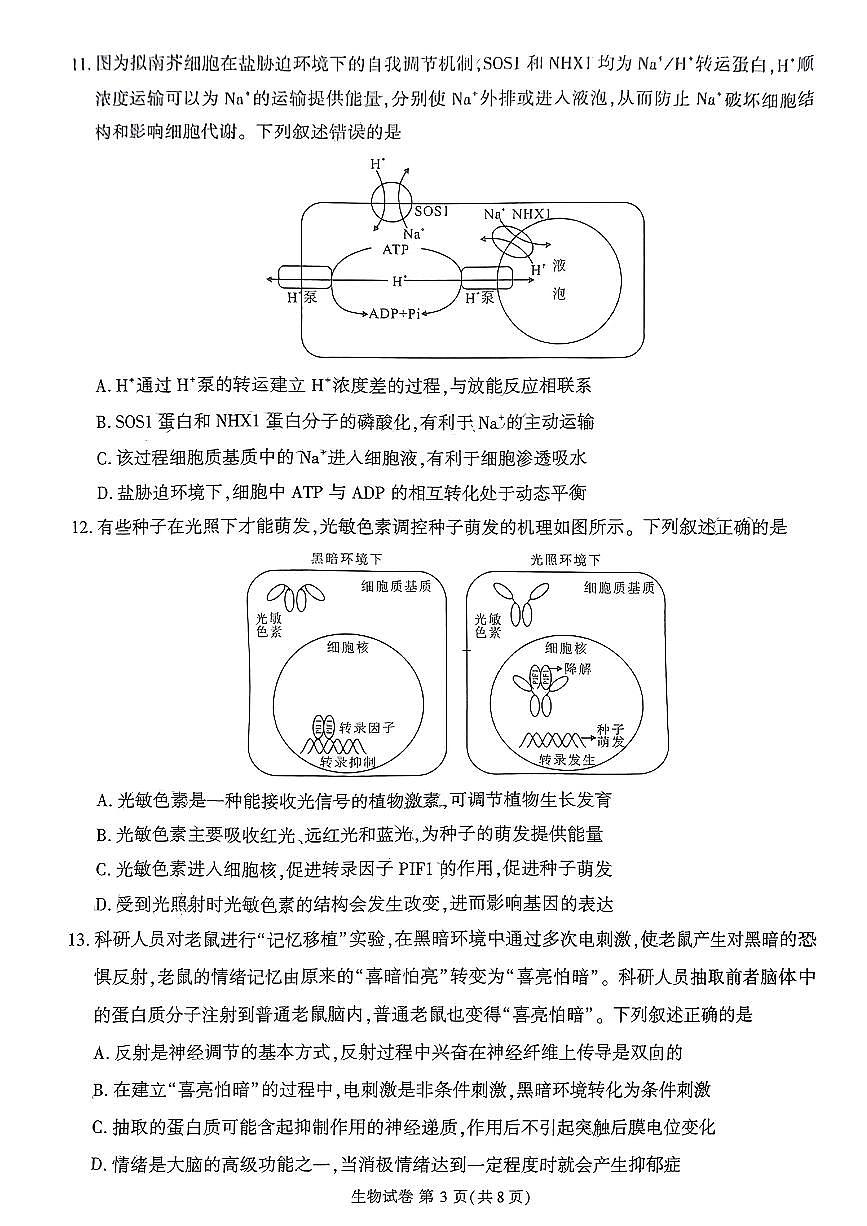 2024届福建省莆田市高三下(3月)二模试卷-生物（含答案）第3页