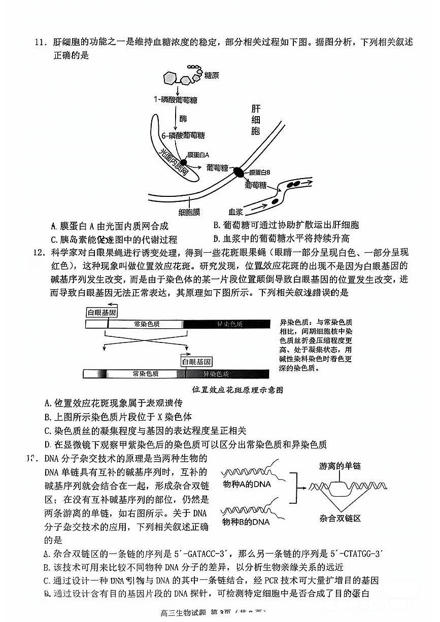 2024届福建省泉州市高三毕业班质量检测（一）-生物试题（含答案）第3页