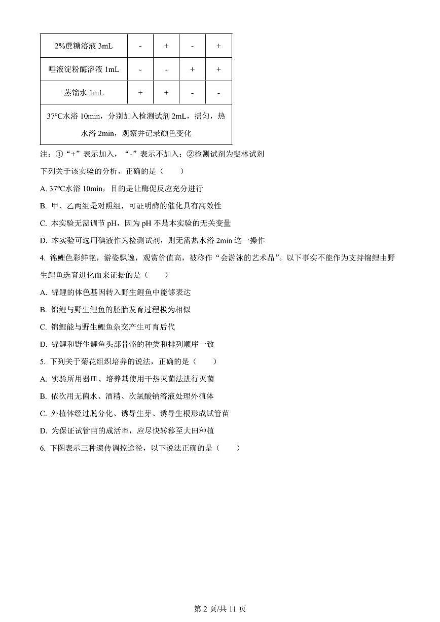 2024届福建省厦门市高三下学期第二次质量检测卷(3月)-生物（含答案）第2页