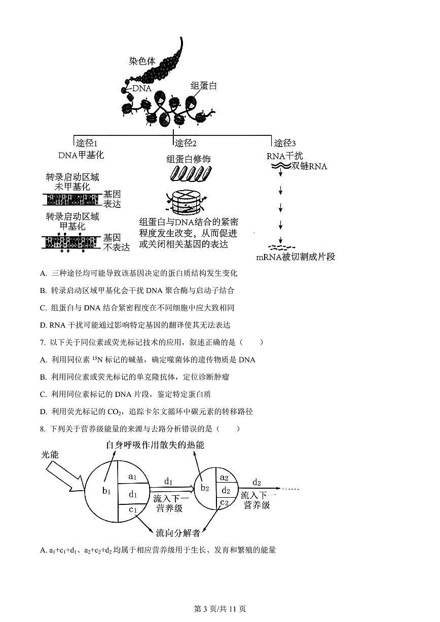 2024届福建省厦门市高三下学期第二次质量检测卷(3月)-生物（含答案）第3页