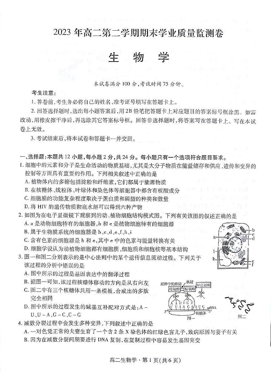 2024届甘肃高二下学期（期末考试）-生物试题（含答案）第1页