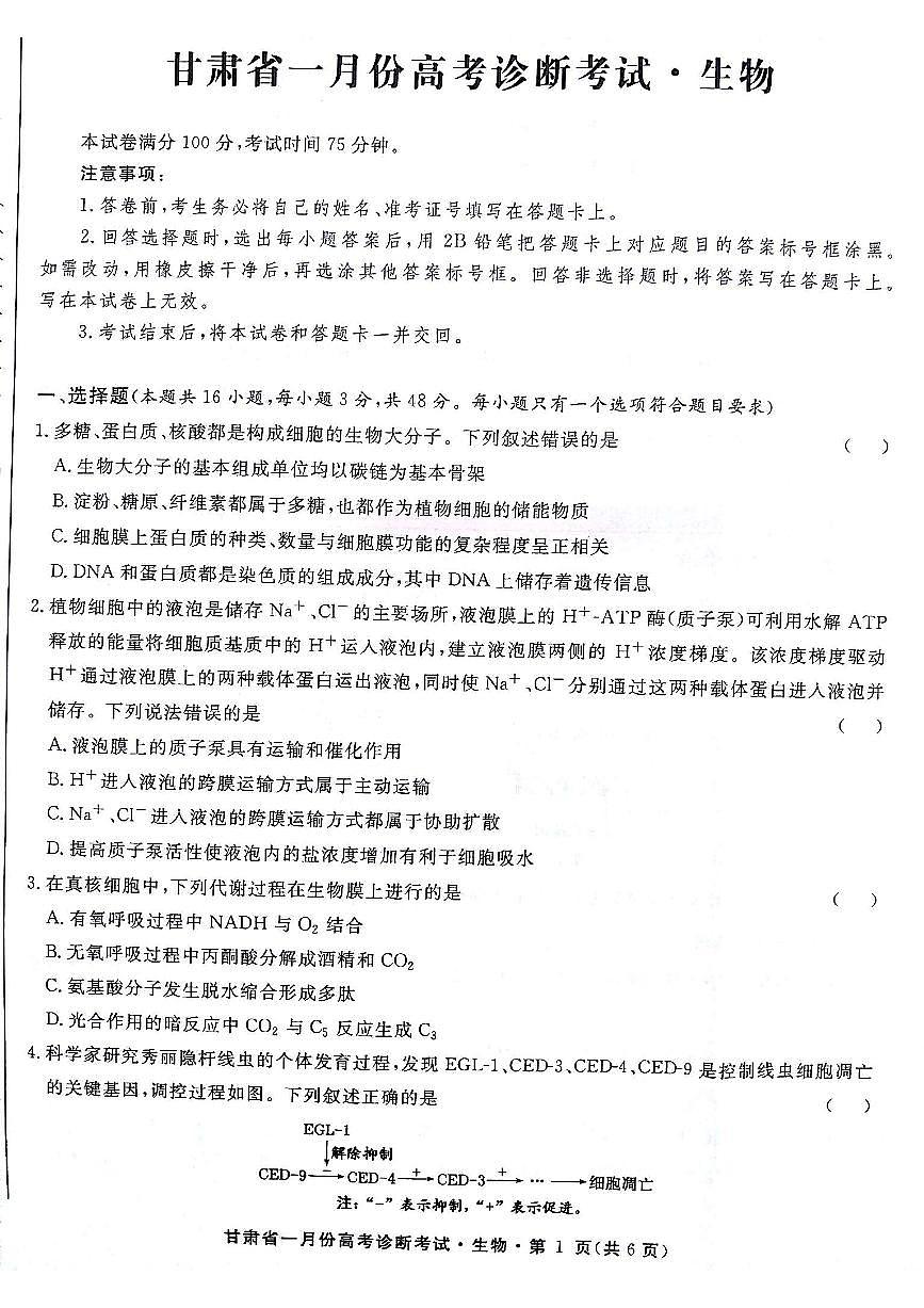 2024届甘肃省高三上学期1月高考诊断考试卷-生物试题（含答案）第1页