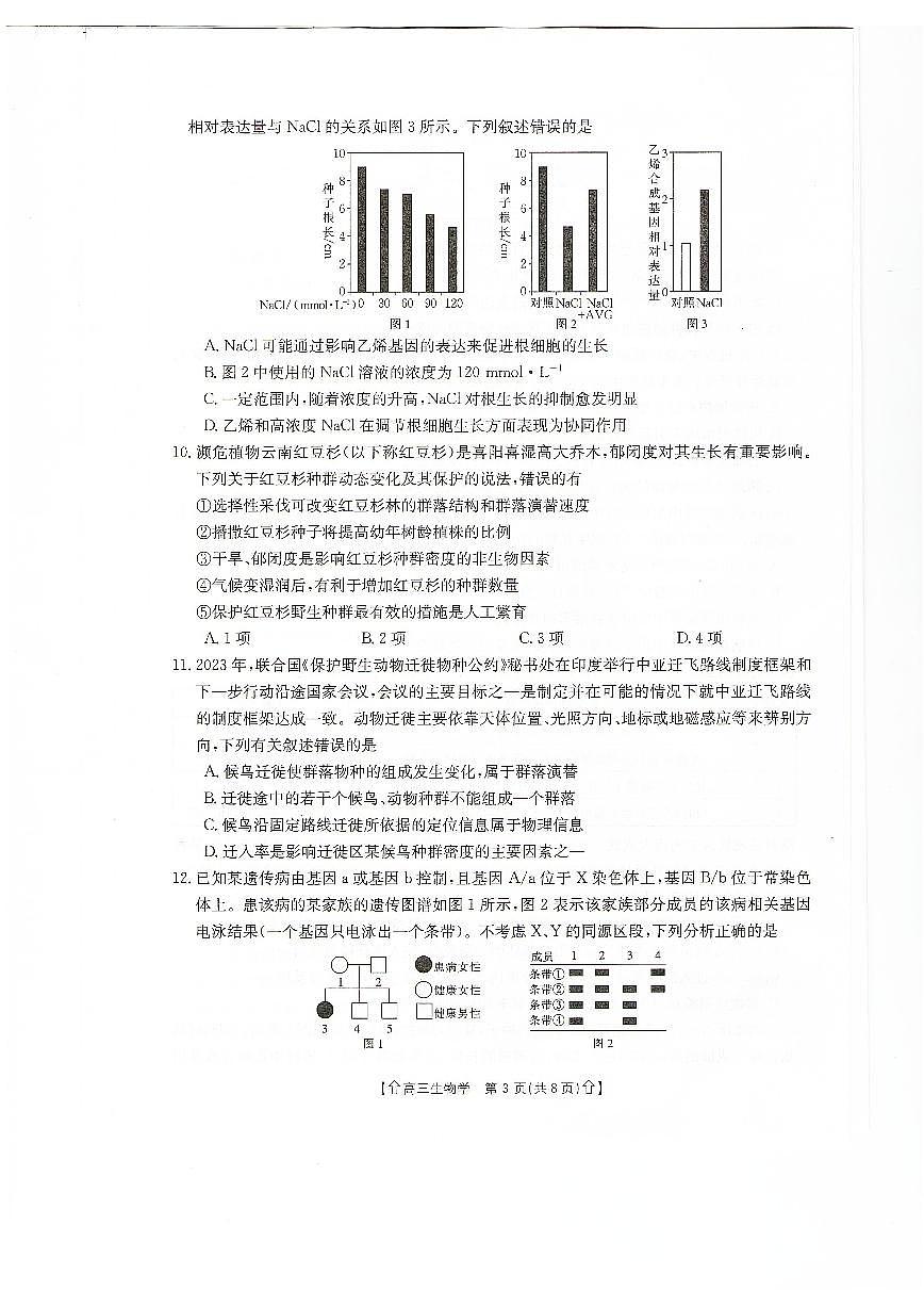 2024届甘肃省高三上学期1月阶段调研考试-生物试题（含答案）第3页