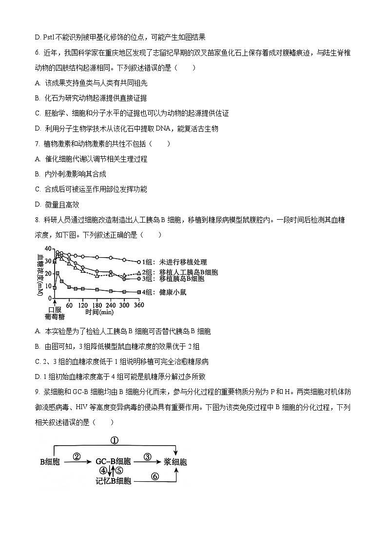 北京市海淀区2024-2025学年高三上学期1月期末考试生物试卷  Word版无答案第3页