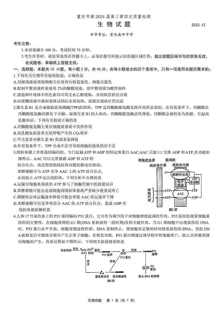 2024届重庆市南开高三上(质检Ⅳ)-生物试题（含答案）第1页