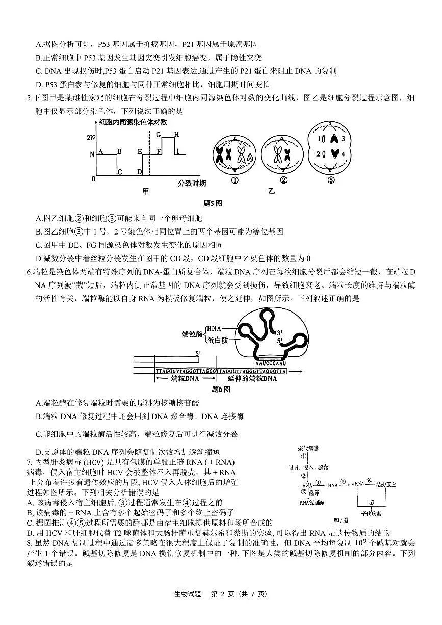 2024届重庆市南开高三上(质检Ⅳ)-生物试题（含答案）第2页
