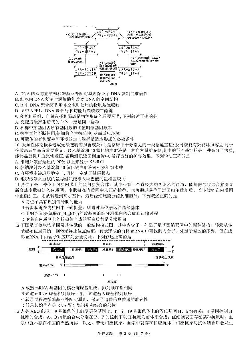 2024届重庆市南开高三上(质检Ⅳ)-生物试题（含答案）第3页