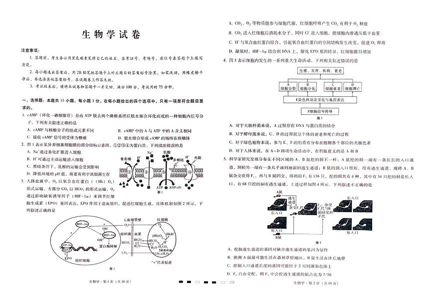 2024届重庆市巴蜀中学高三4月适应性月考（九）-生物试卷（含答案）第1页