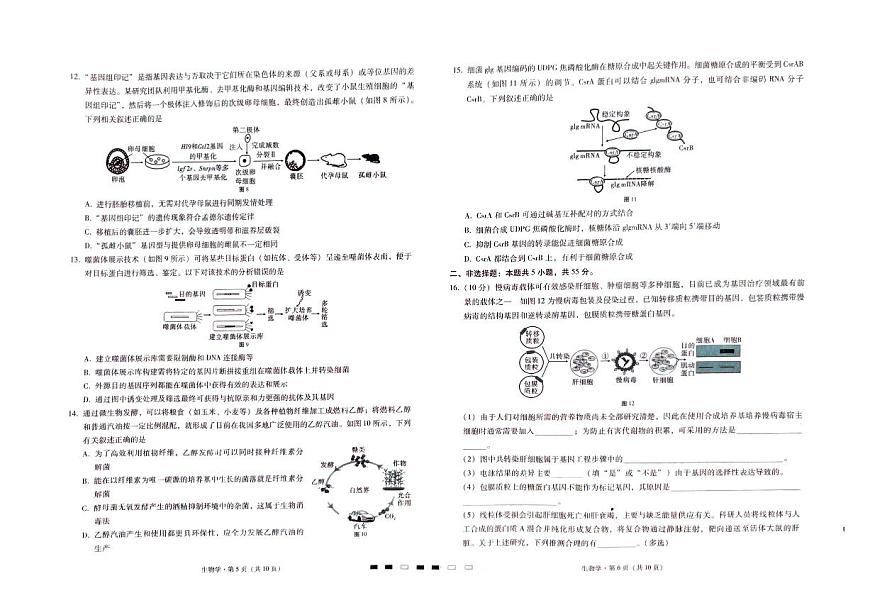 2024届重庆市巴蜀中学高三4月适应性月考（九）-生物试卷（含答案）第3页