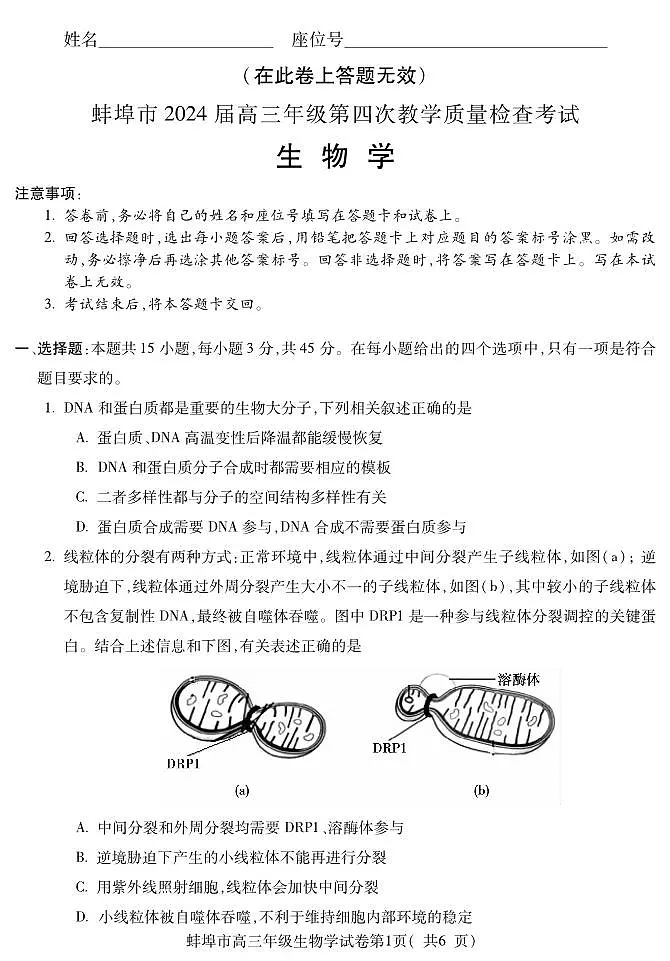 2024安徽省蚌埠高三第四次质检试卷-生物（含答案）第1页