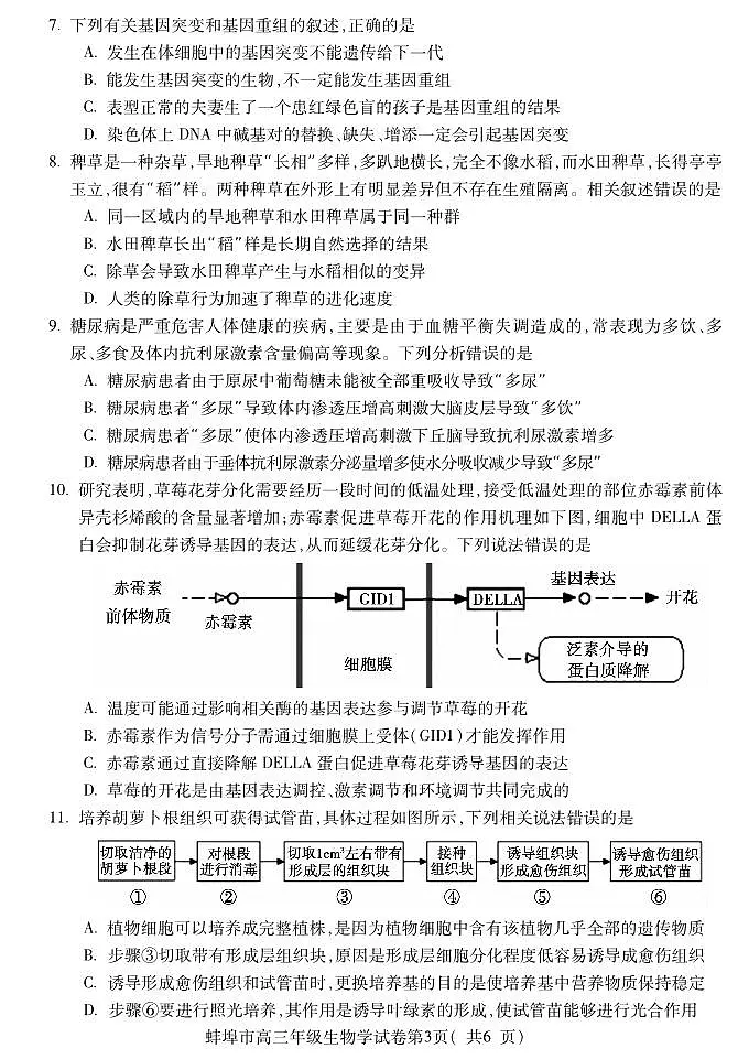 2024安徽省蚌埠高三第四次质检试卷-生物（含答案）第3页