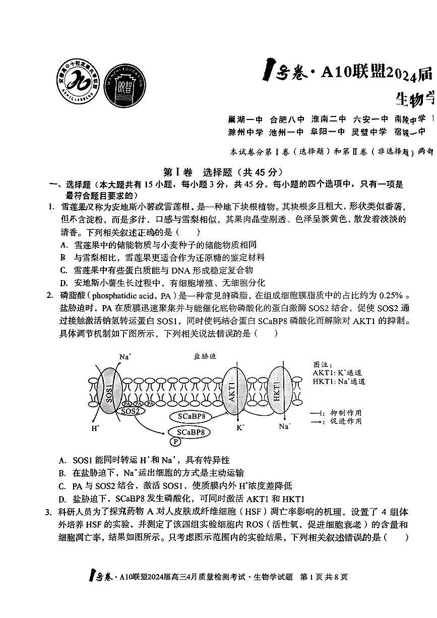 2024安徽A10联盟高三4月质量检测-生物（含答案）第1页