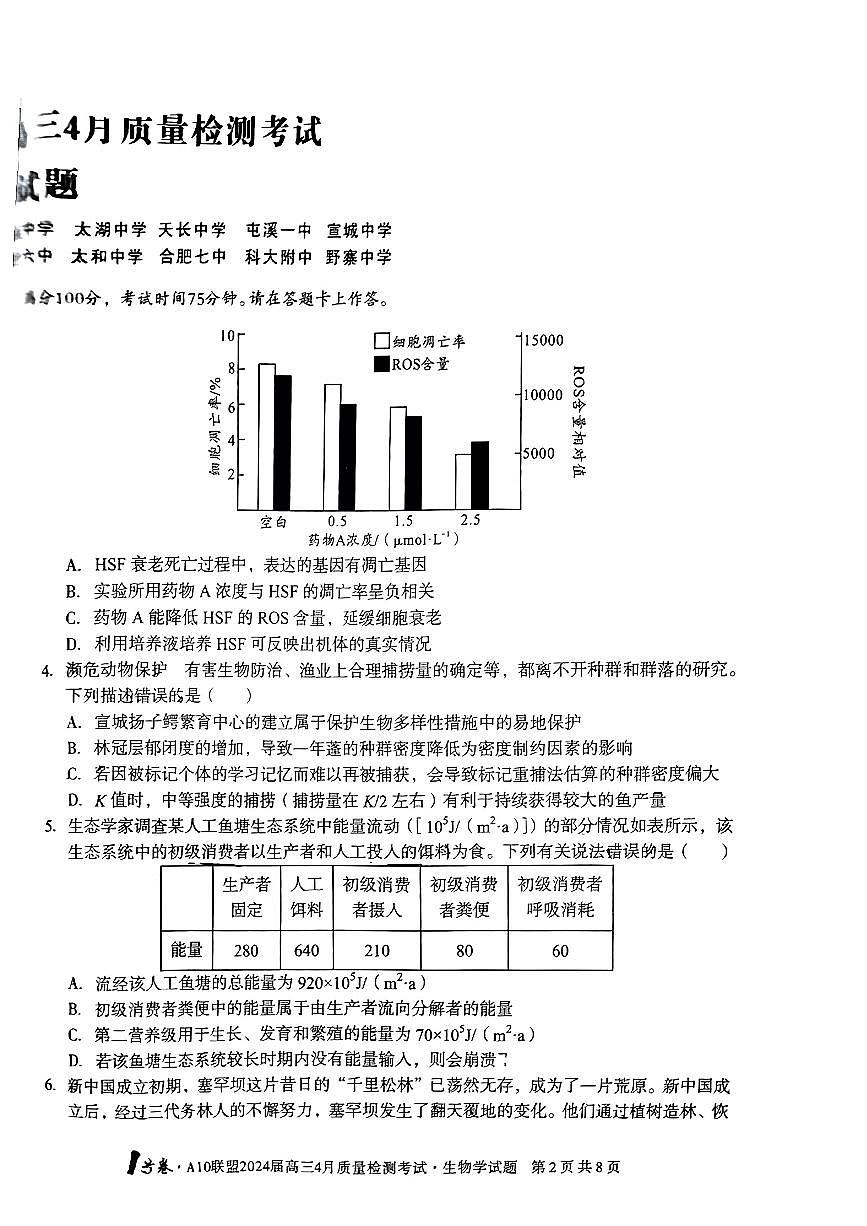 2024安徽A10联盟高三4月质量检测-生物（含答案）第2页