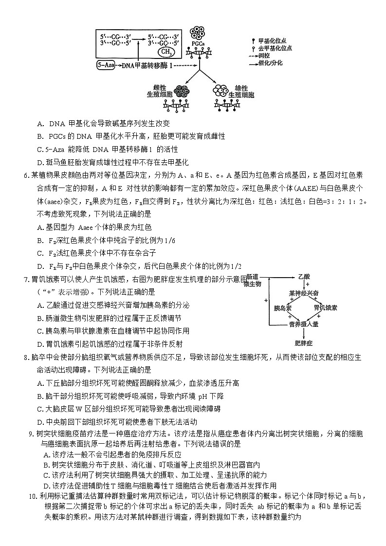 山东省潍坊市2025届高三高考模拟考试生物学试卷（有答案）第2页