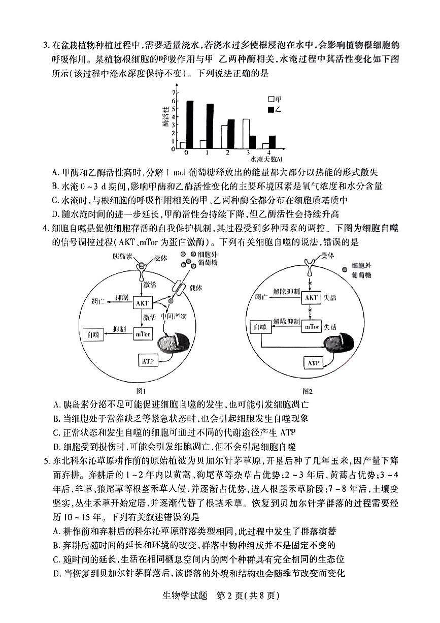 天一大联考2025届高三下学期3月月考 生物试题及答案第2页