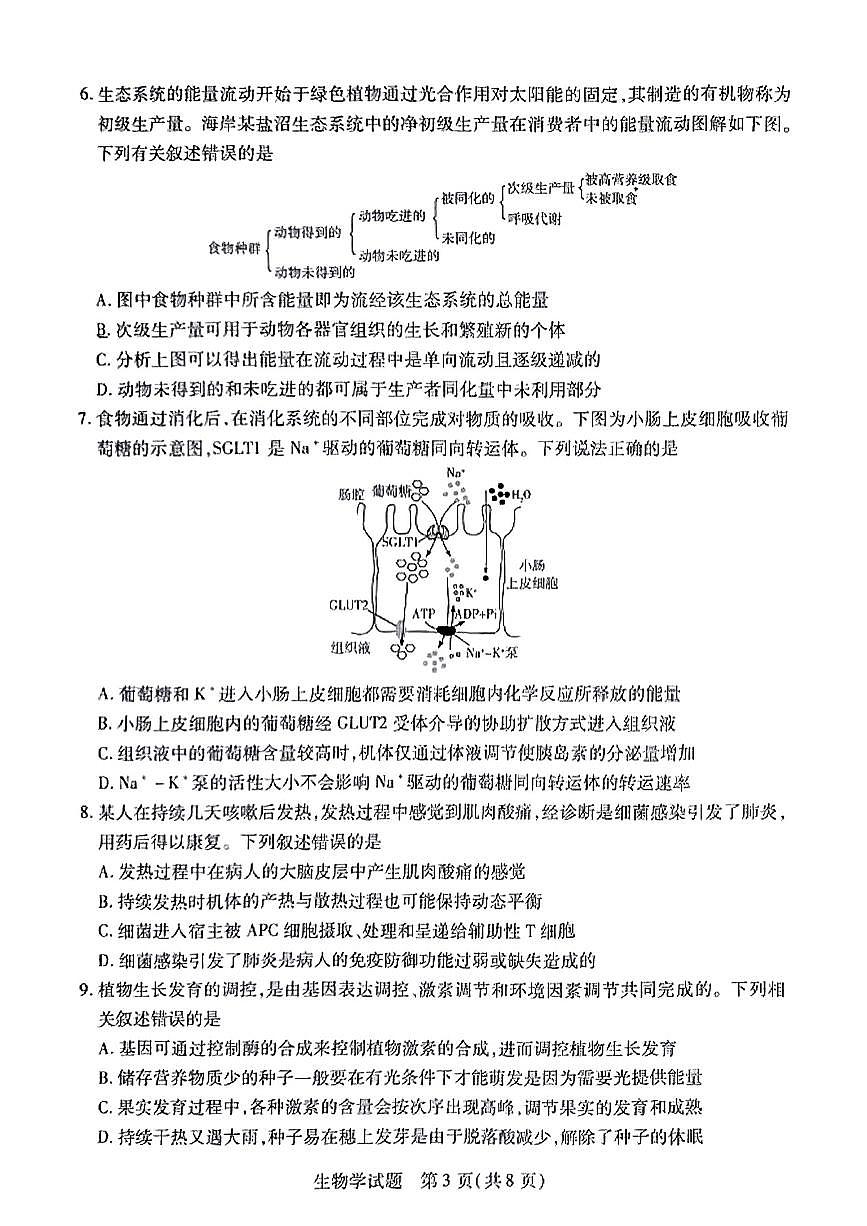天一大联考2025届高三下学期3月月考 生物试题及答案第3页