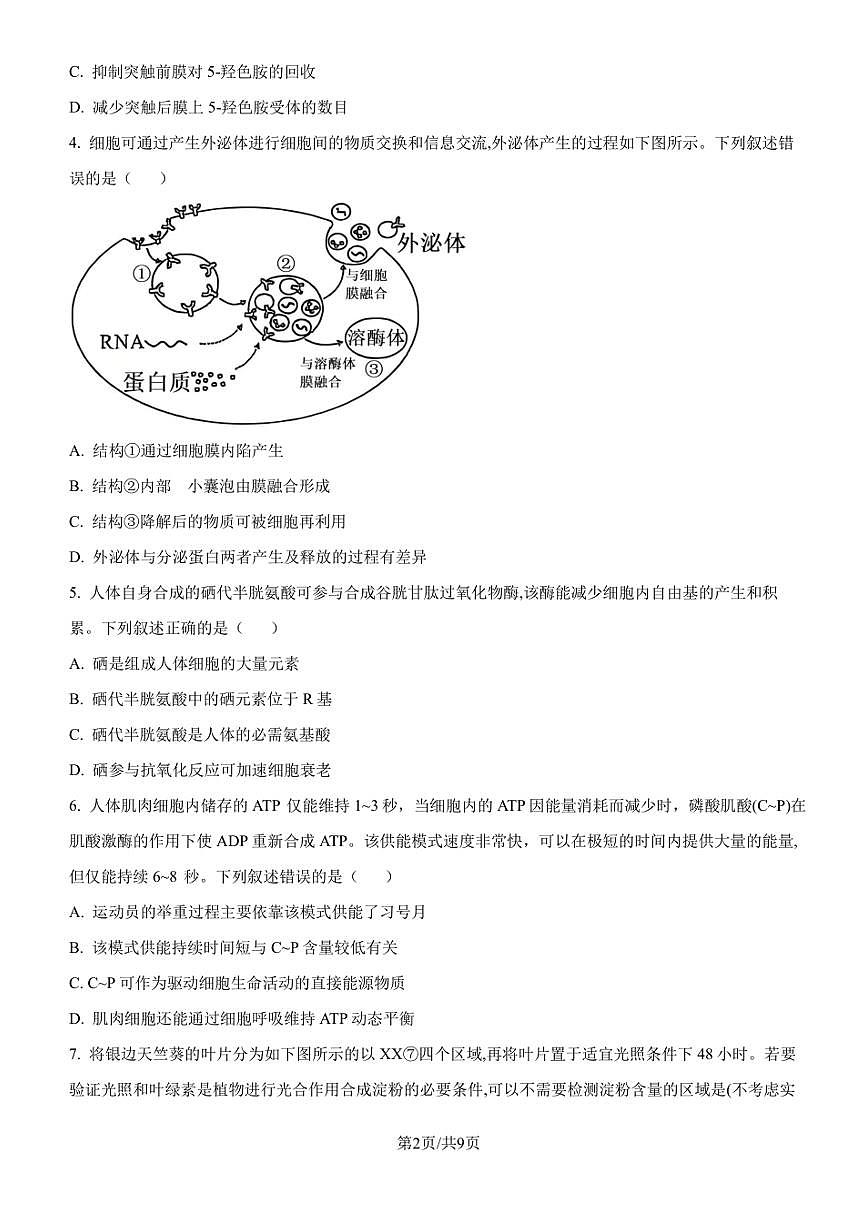 湖北省武汉市2025届高三二调（二模） 高中毕业生二月调研考试 生物试题及答案第2页