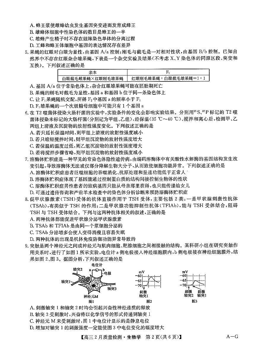 九师联盟2025届高三2月质量检测巩固卷 生物（含答案）第2页