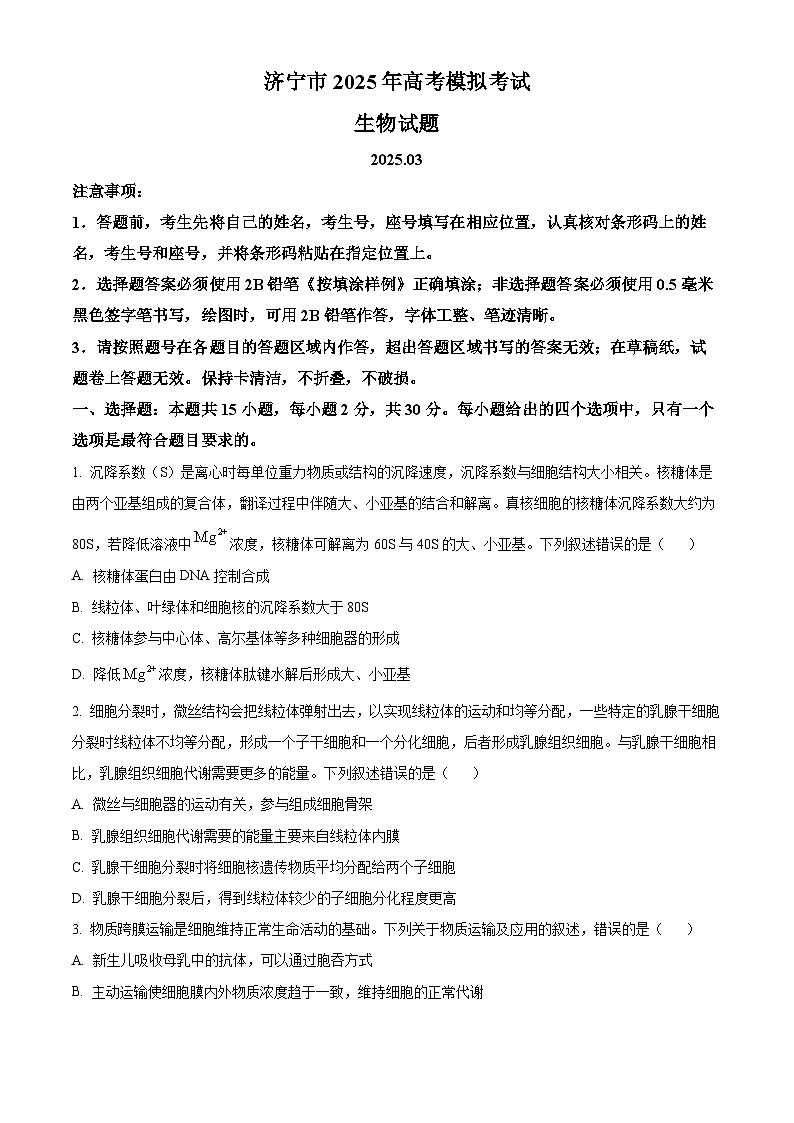 2025届山东省济宁市高三下学期3月一模考试生物试题  Word版无答案第1页