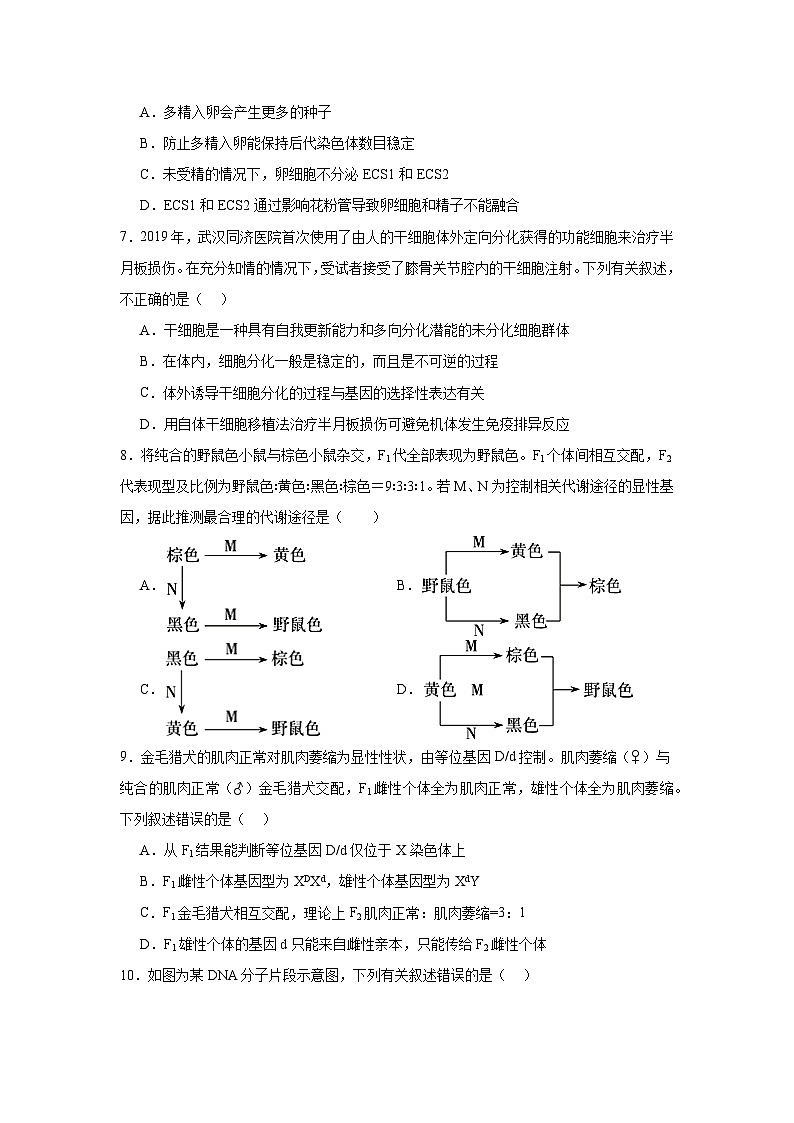 2025届湖北省部分高中协作体高三三月联考一模生物试题（附答案解析）第3页