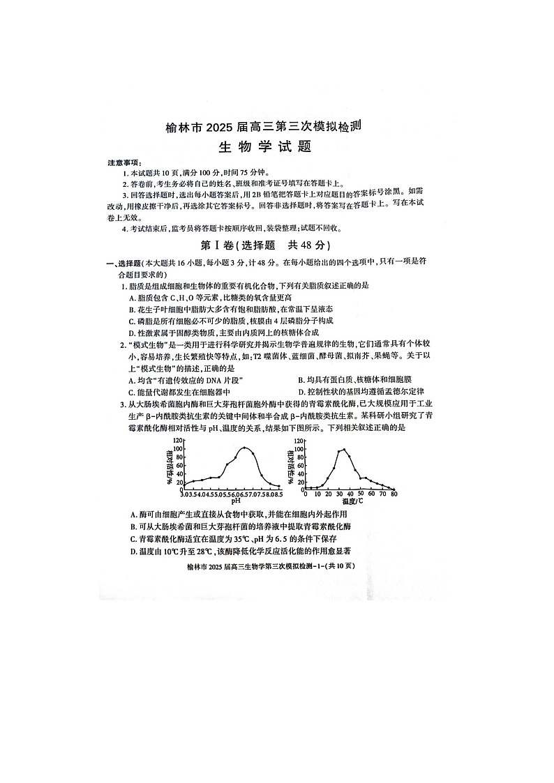 2024-2025学年下学期陕西省榆林市高三3月第三次模拟检测生物试卷含答案第1页