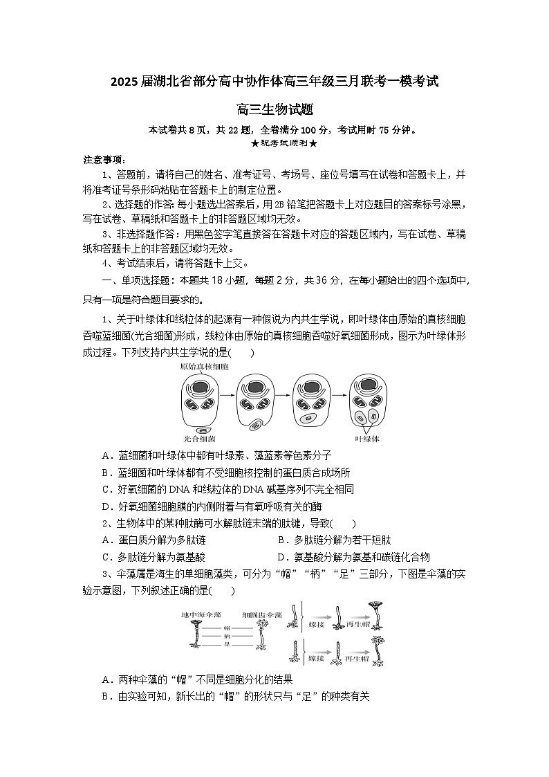 高三生物试题第1页