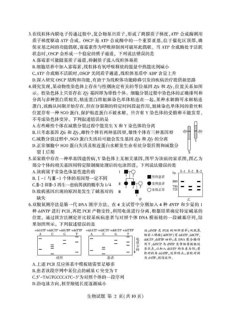 山东省临沂市2025年普通高等学校招生全国统一考试（模拟）（临沂一模）生物学试题（含答案）第2页