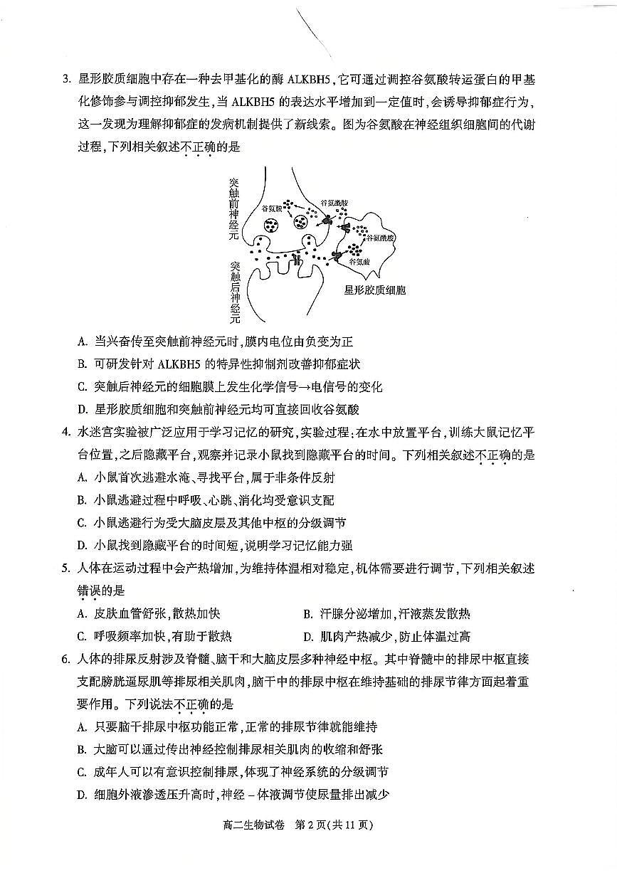 生物-北京市朝阳区2024-2025学年高二年级第一学期期末质量检测试题和答案第2页