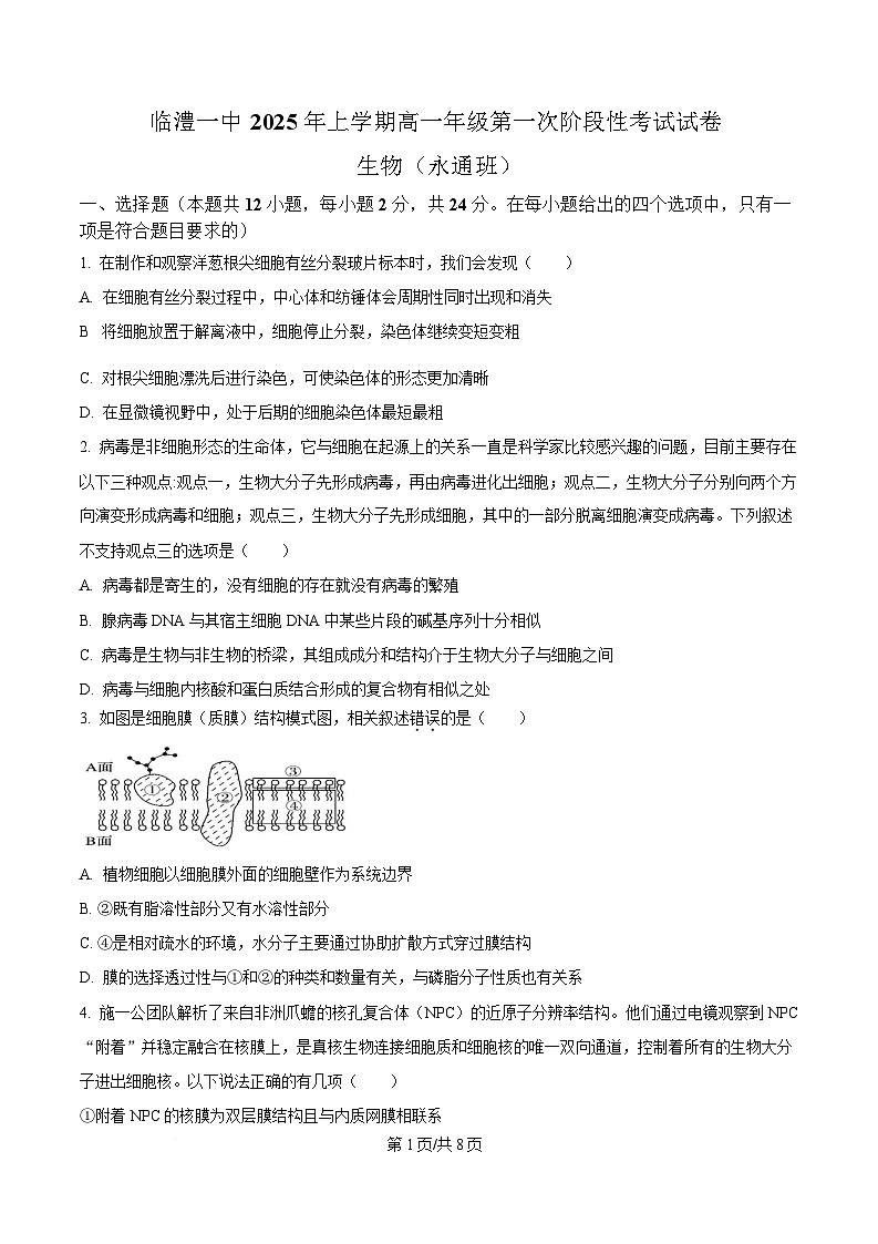 湖南省常德市临澧县第一中学2024-2025学年高一下学期第一次阶段性考试生物试题（永通班）（原卷版）第1页