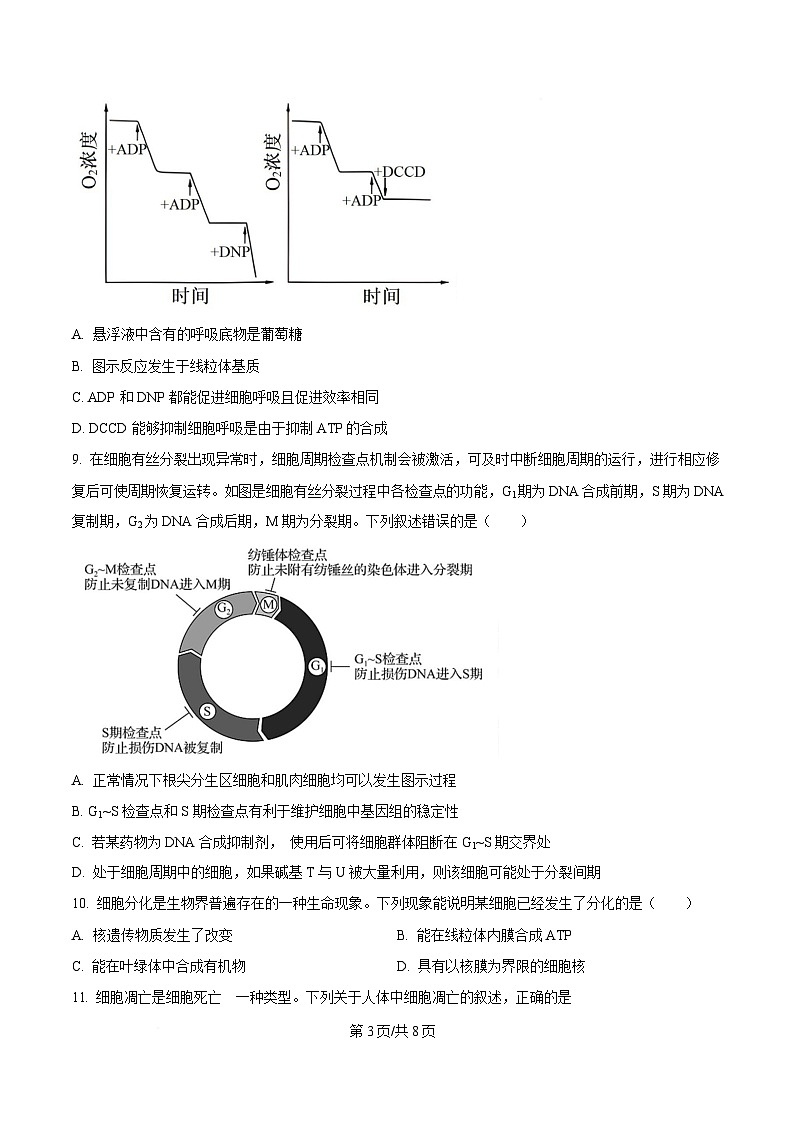 湖南省常德市临澧县第一中学2024-2025学年高一下学期第一次阶段性考试生物试题（永通班）（原卷版）第3页