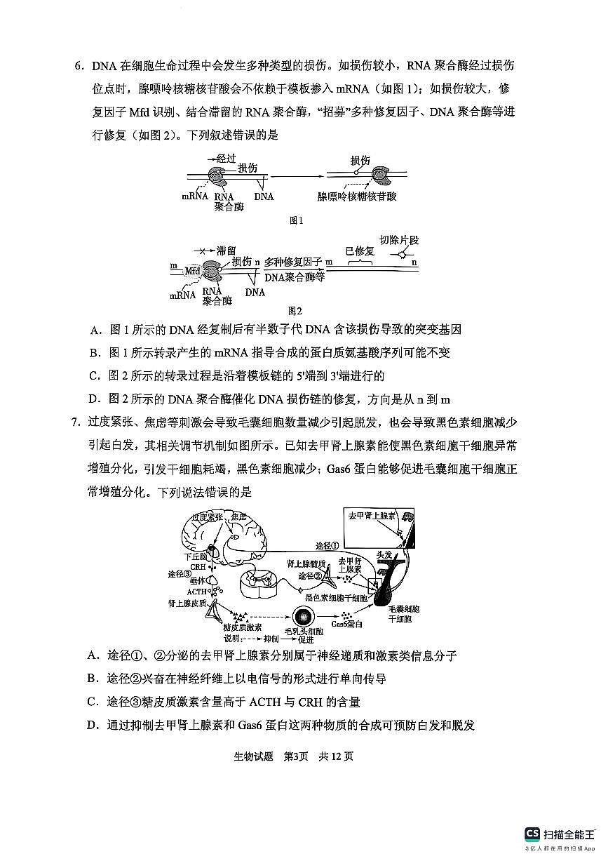 2025届山东省实验中学高三第五次诊断高考模拟（3月一模）-生物试题+答案第3页