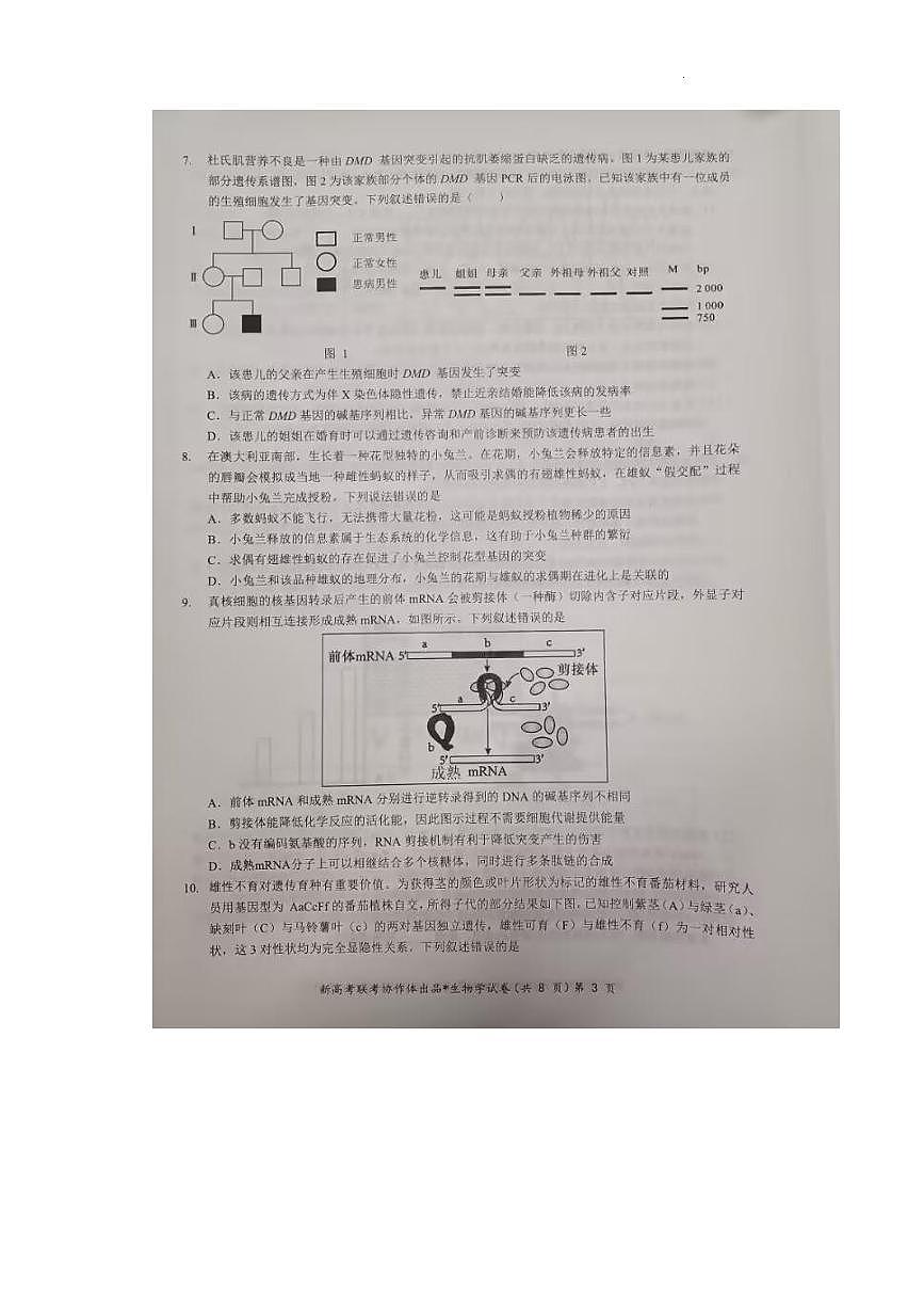 湖北部分名校 2025 届高三1月联考（云学联盟）生物试题+答案第3页