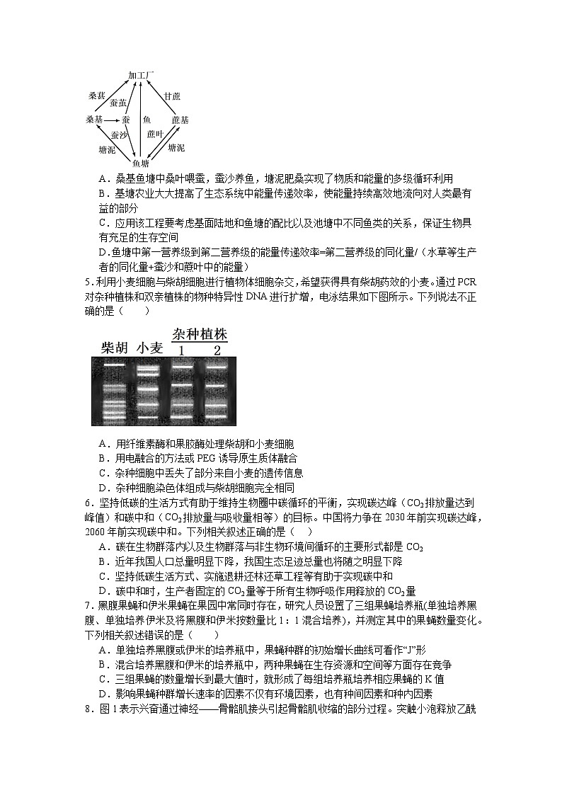 南昌十九中2024-2025学年第二学期2月月考高三生物+答案第2页