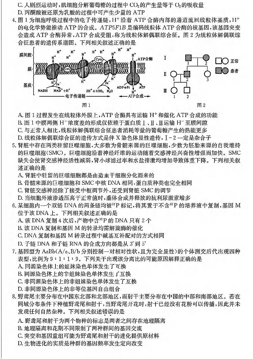 生物丨2025届普通高等学校招生考试模拟卷（一）生物试卷及答案第2页