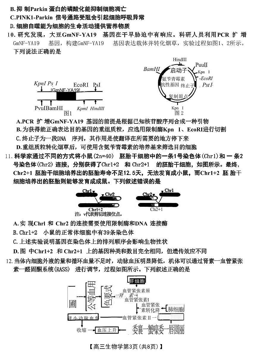 生物丨山西省晋城市2025年高三1月第一次模拟考试（晋城一模）生物试卷及答案第3页