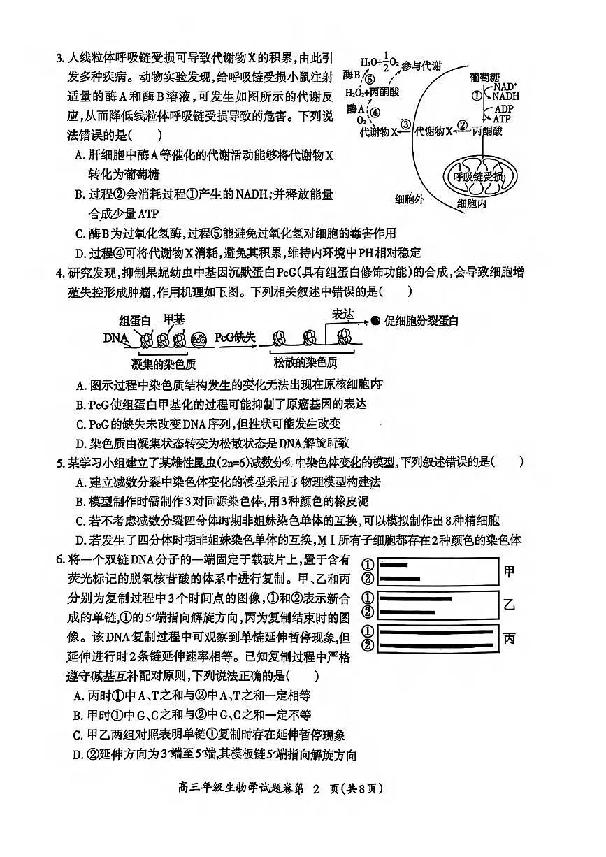 生物丨安徽省芜湖市2025届高三1月教学质量监控生物试卷及答案第2页