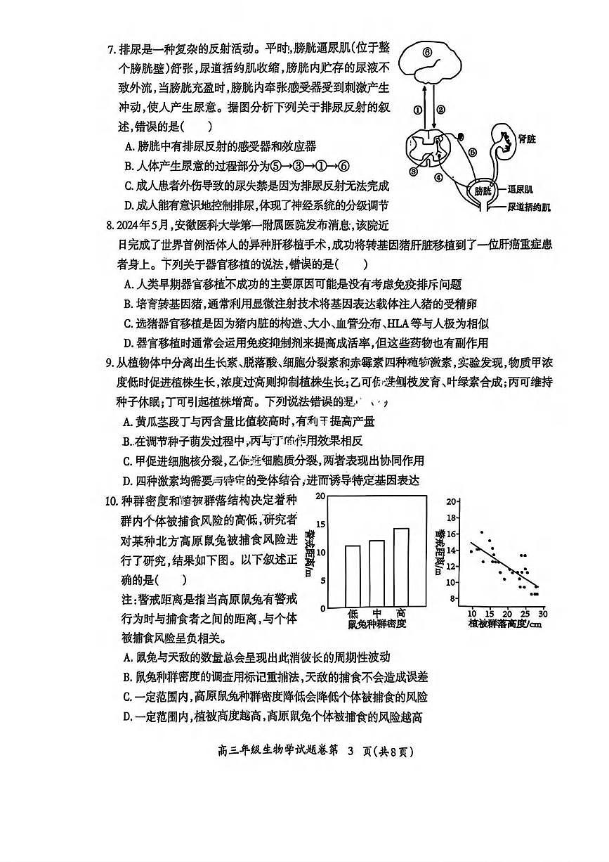 生物丨安徽省芜湖市2025届高三1月教学质量监控生物试卷及答案第3页