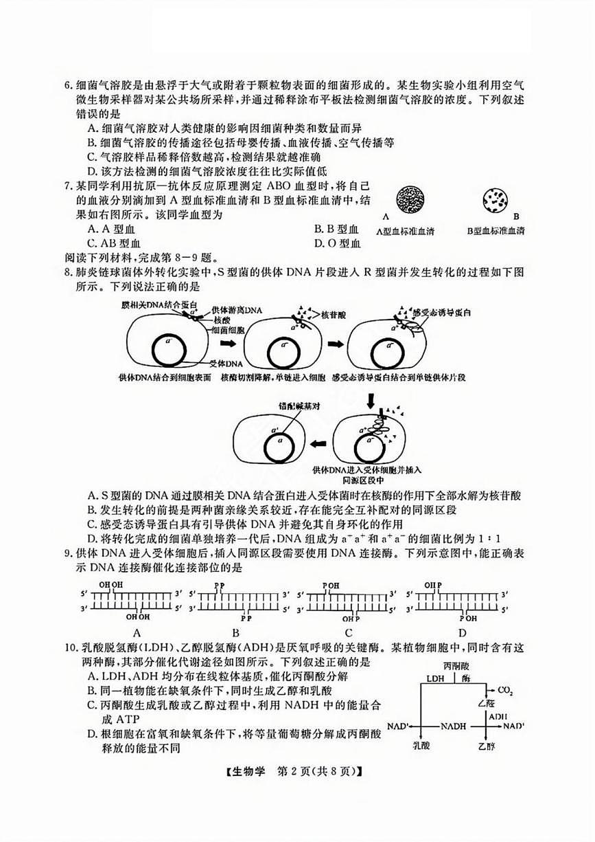 生物丨浙江省强基联盟2025届高三1月联考生物试卷及答案第2页