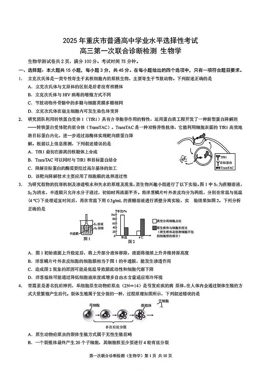 生物丨重庆市康德2025届高三1月第一次诊断检测生物试卷及答案第1页