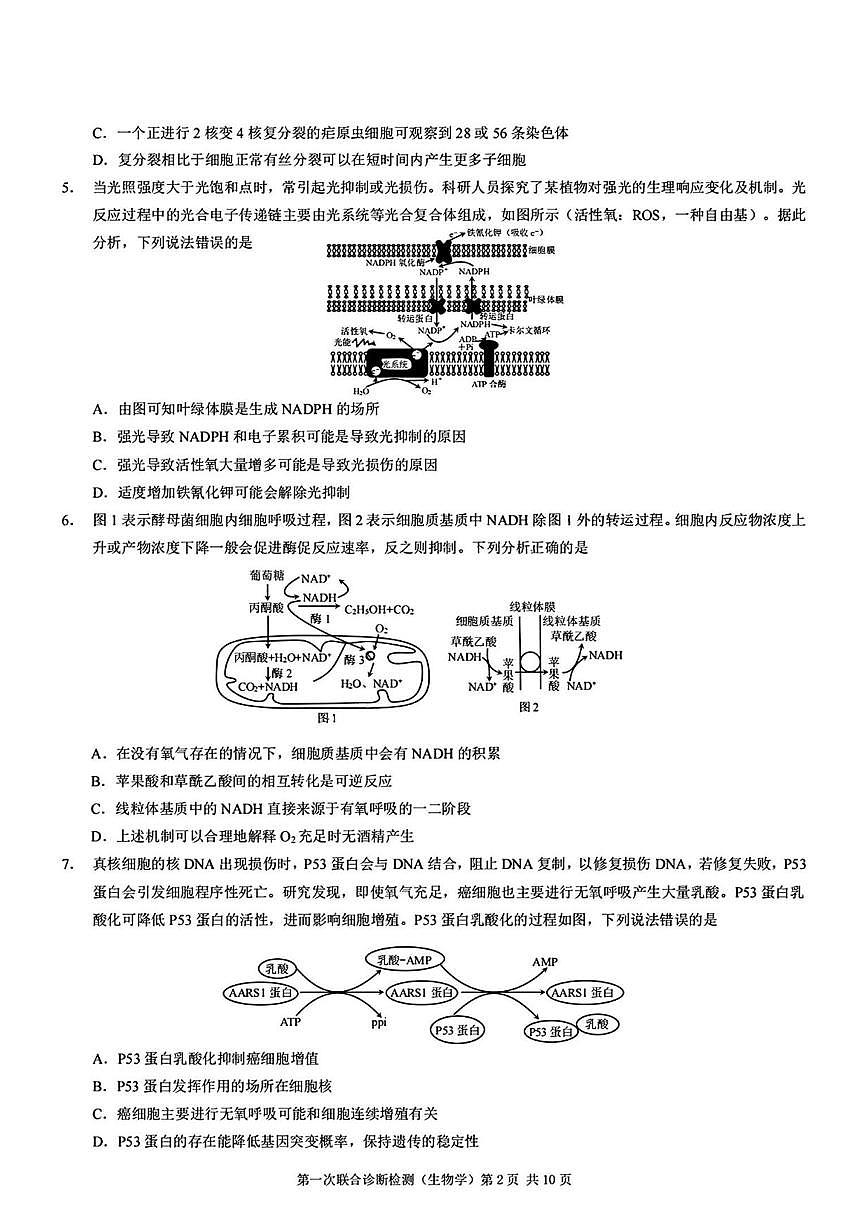 生物丨重庆市康德2025届高三1月第一次诊断检测生物试卷及答案第2页