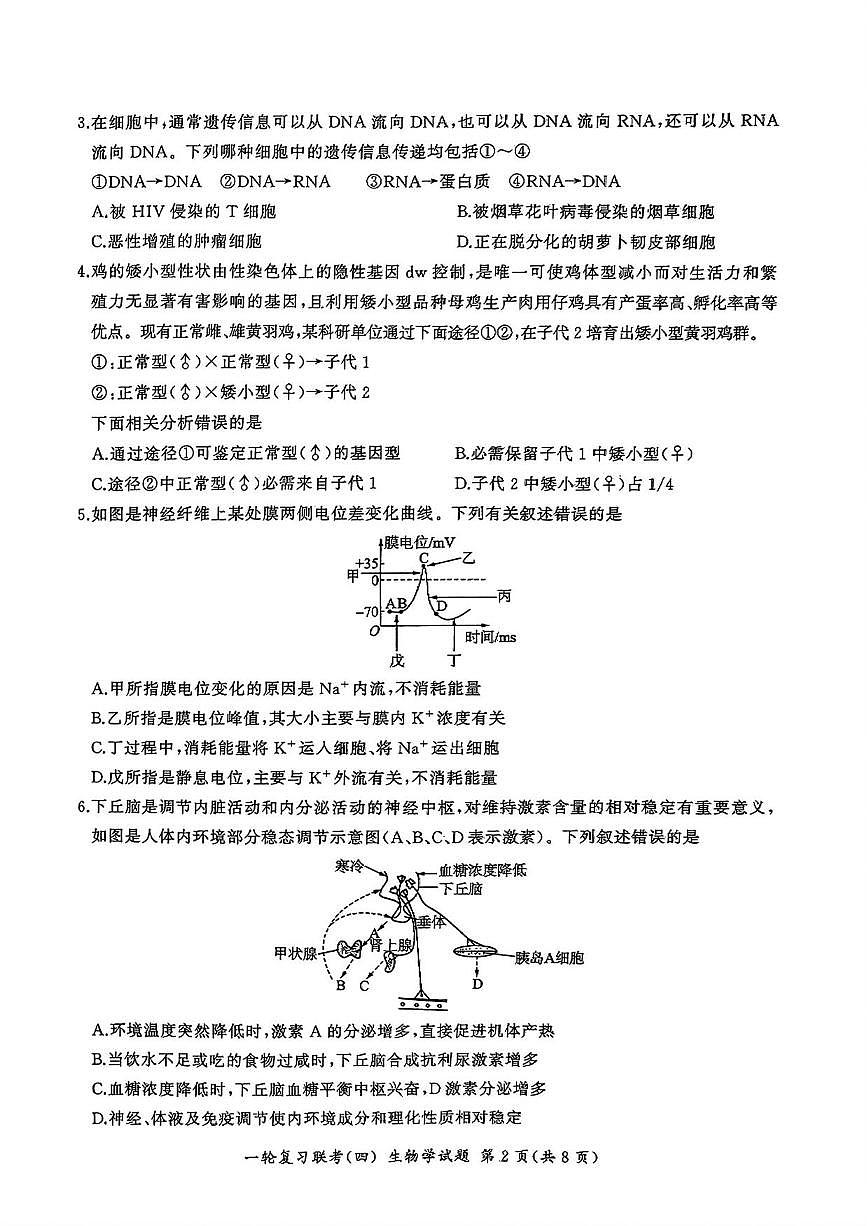 生物丨百师联盟2025届高三1月一轮复习联考（四）生物试卷及答案第2页