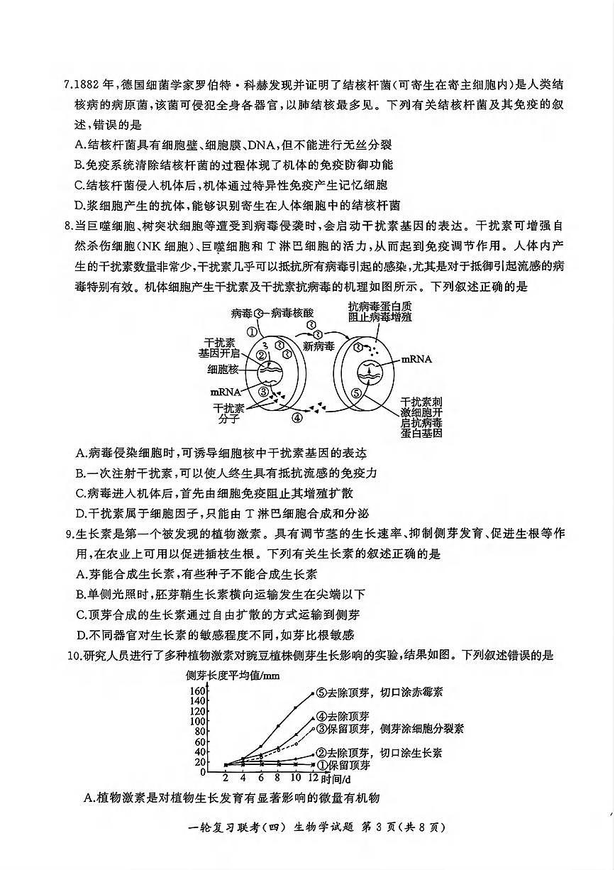 生物丨百师联盟2025届高三1月一轮复习联考（四）生物试卷及答案第3页