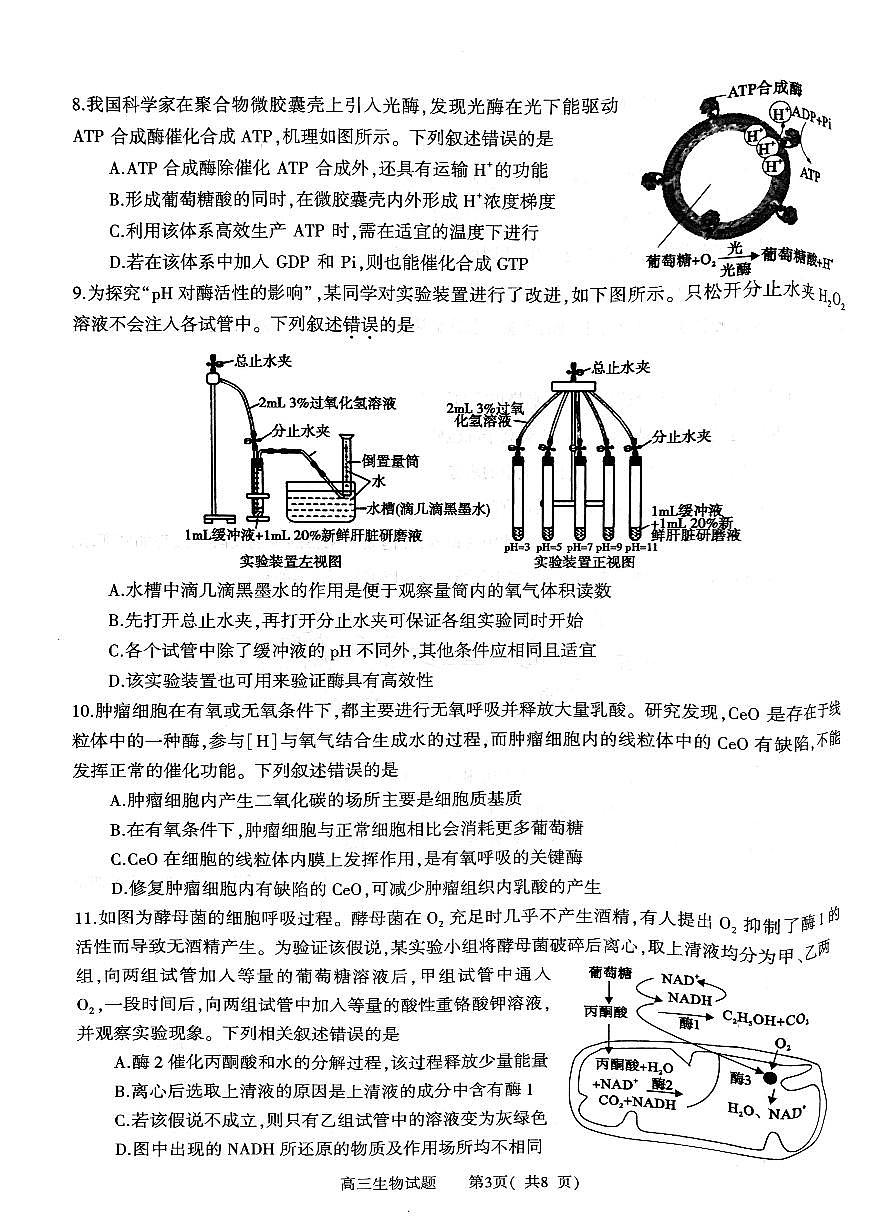 河南省信阳市2024-2025学年普通高中高三第一次教学教学质量检测 生物第3页