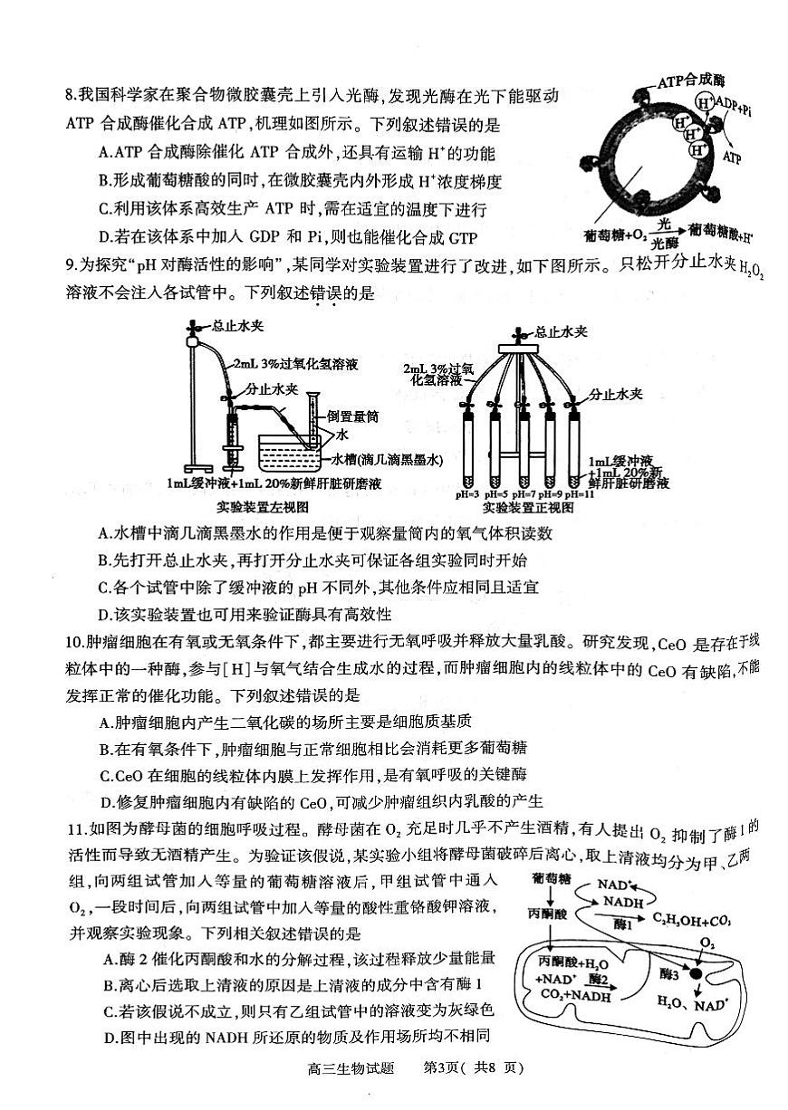 河南省信阳市2024-2025学年普通高中高三第一次教学教学质量检测 生物第3页