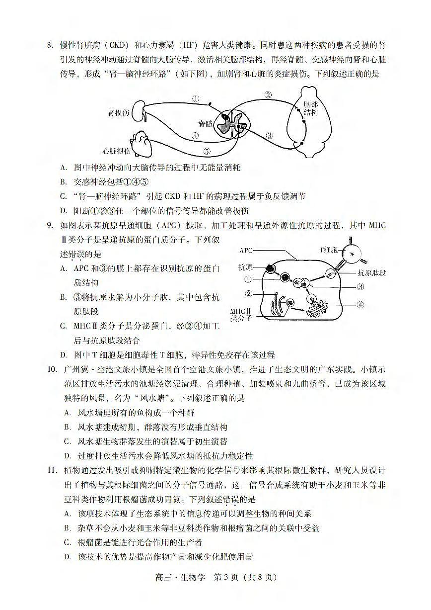 生物丨广东省肇庆市2025届高三1月第二次模拟考试（肇庆二模）生物试卷及答案第3页