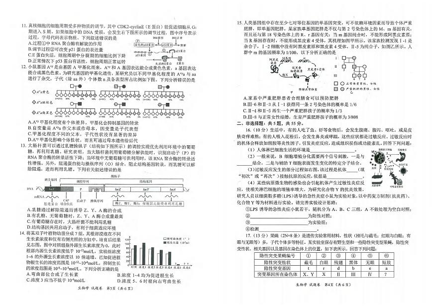 生物丨四川省绵阳市2025届高三1月第二次诊断性考生（绵阳二诊）生物试卷及答案第2页