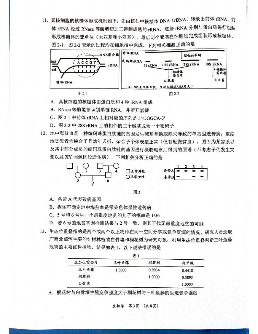 生物丨广西柳州市2025届高三1月二模生物试卷及答案第3页