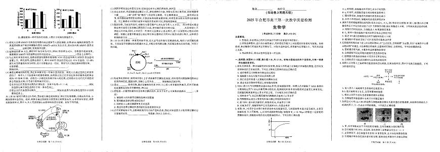 2025 年合肥市高三第一次教学质量检测生物试卷第1页