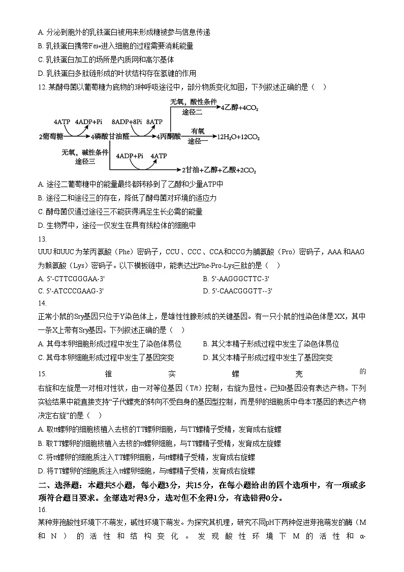 2025普通高校招生适应性测试内蒙古生物卷（八省联考） Word版无答案第3页